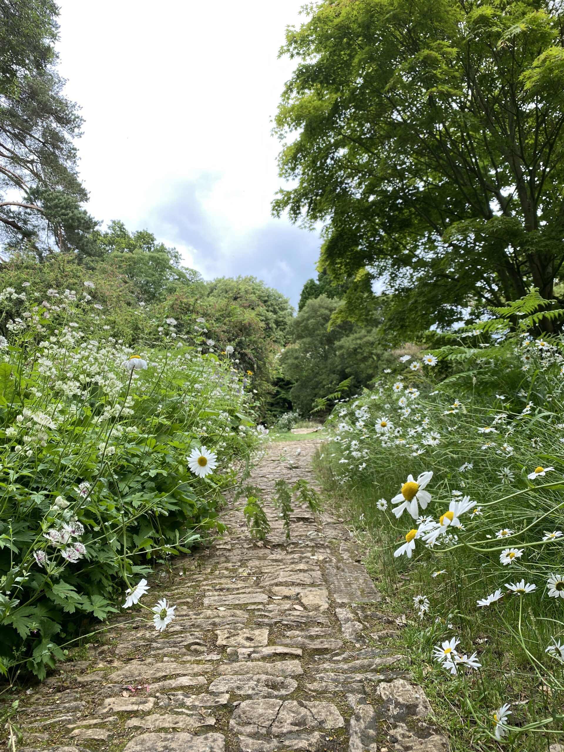 Garden Photo Diaries: The Cotswolds